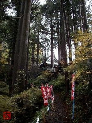 玉置神社 金運爆上げ 特別祈祷 山伏特殊呪術暗号文字 奈良秘境 玉置